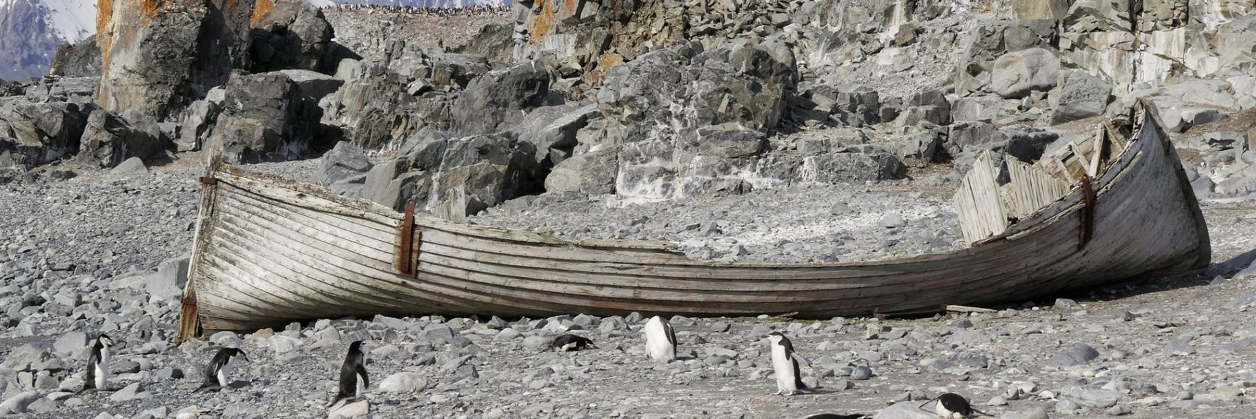 Wrack eines Walfangbootes